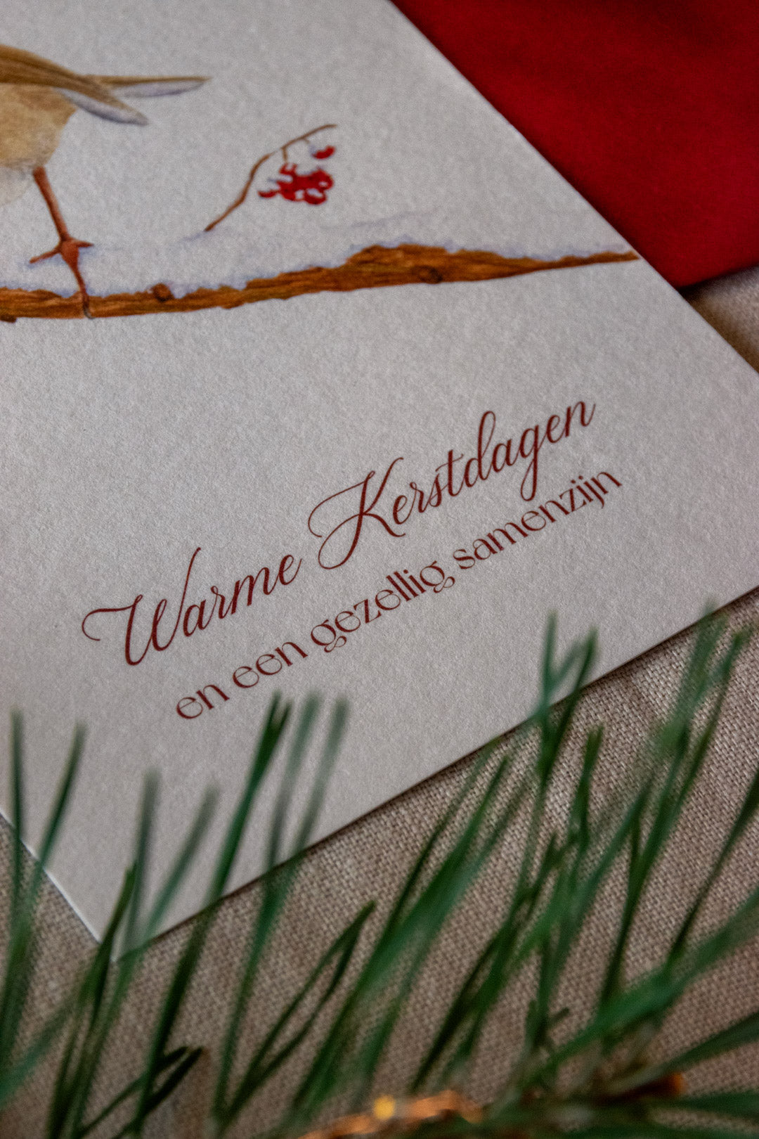 Kerstkaart: Roodborstje op tak